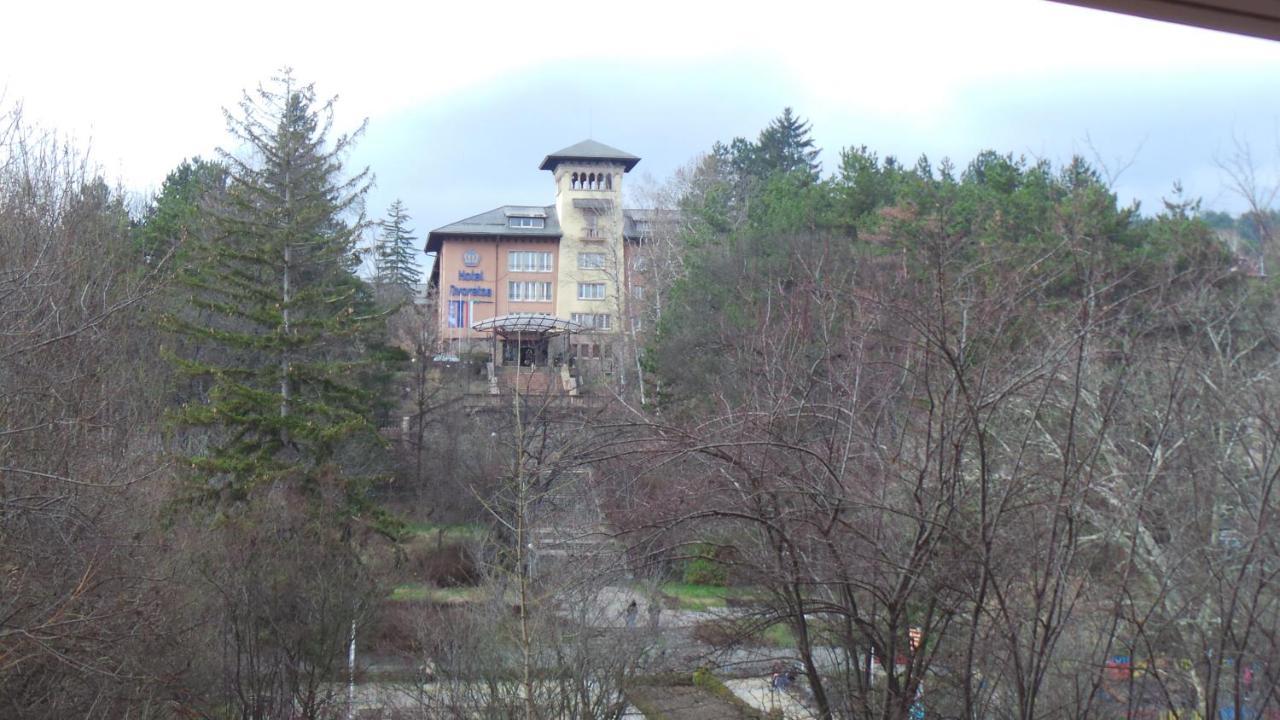 Апартамент Ренета Apartment Reneta Velingrad Kültér fotó