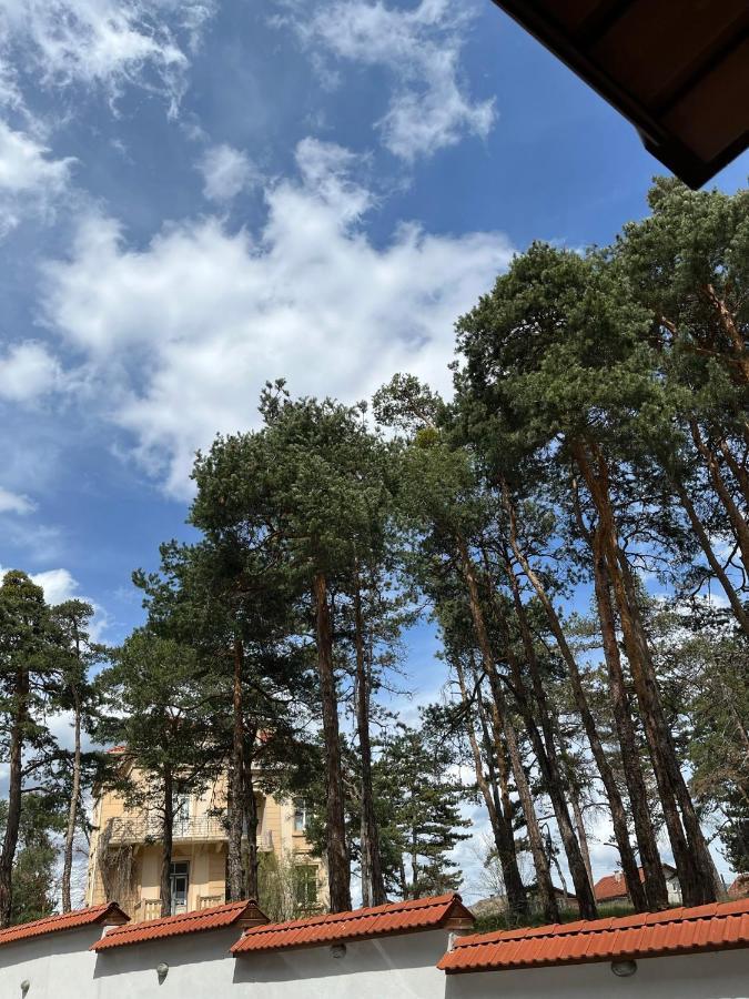 Апартамент Ренета Apartment Reneta Velingrad Kültér fotó